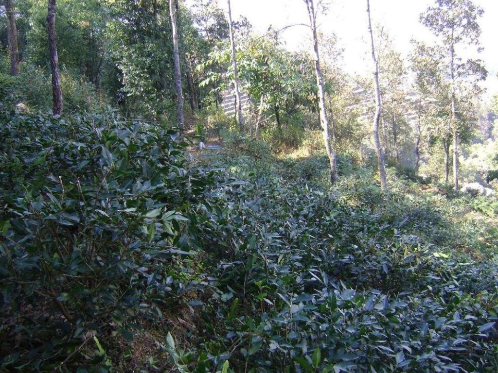 Mystique Highland Resort Pokhara Exterior photo
